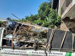 Best Residential Junk Removal  in Athens, MI